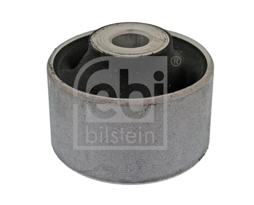 Mounting, control/trailing arm